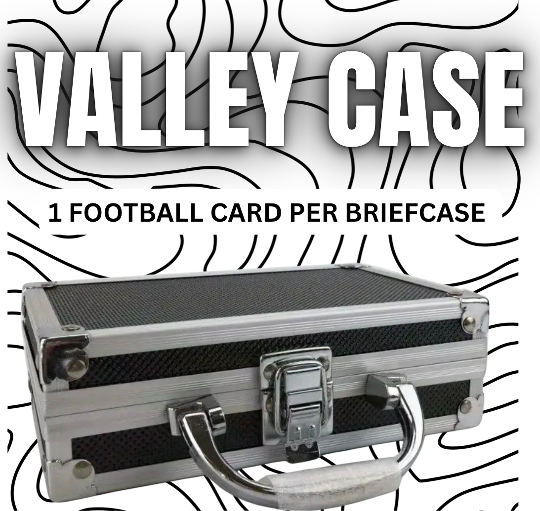 VALLEY CASE